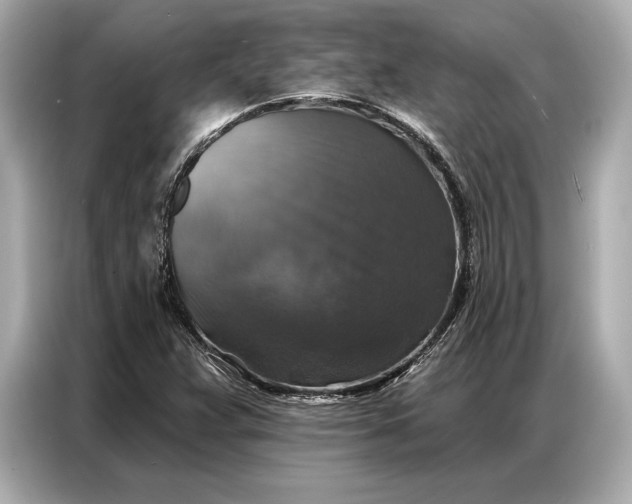 X0000086881359200704300928