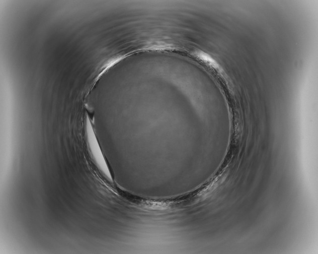 X0000086881361200704300928