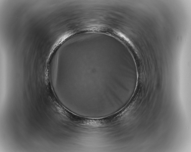 X0000086881362200704300928