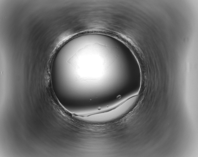 X0000086881363200704300928