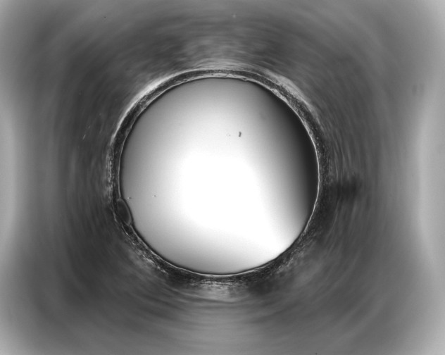 X0000086881364200704300928