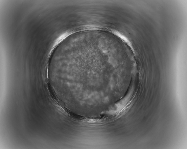 X0000086881365200704300928