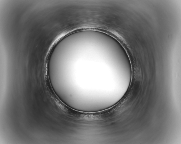 X0000086881366200704300928