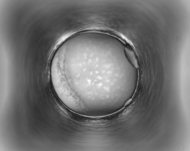 X0000086881367200704300928