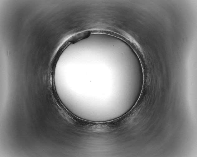 X0000086881368200704300928