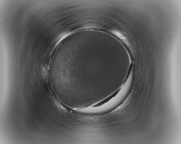 X0000086881369200704300928