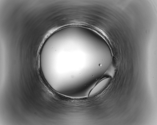 X0000086881371200704300928