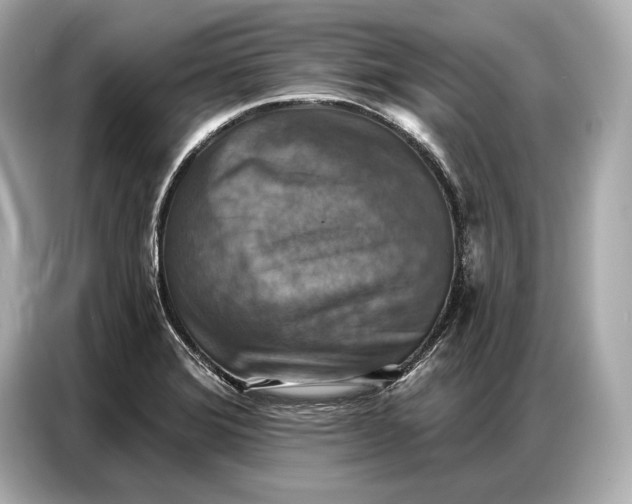 X0000086881372200704300928