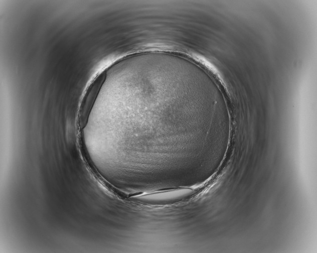 X0000086881373200704300928