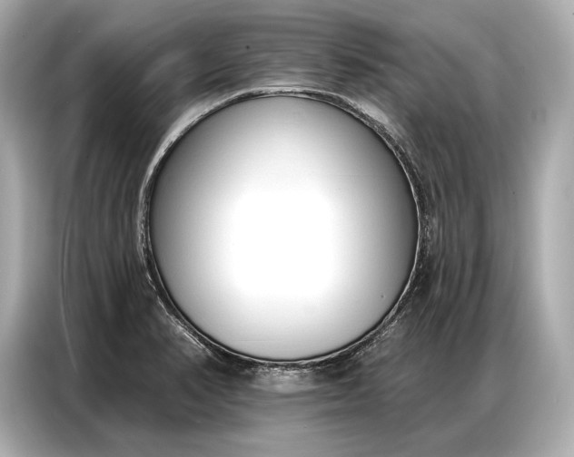 X0000086881374200704300928