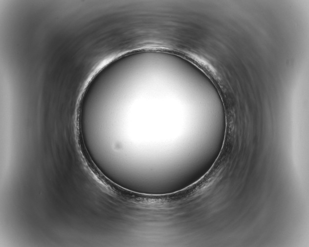 X0000086881375200704300928