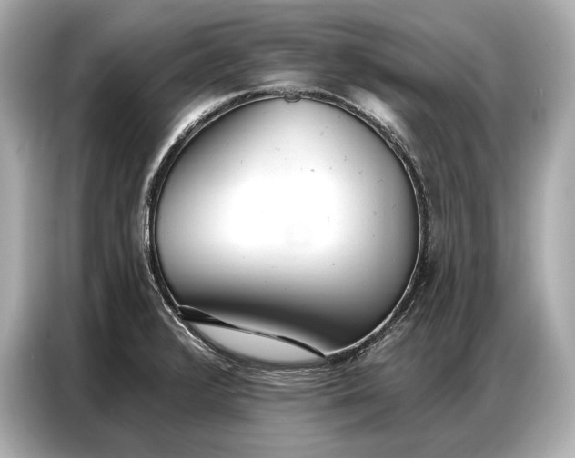 X0000086881376200704300928