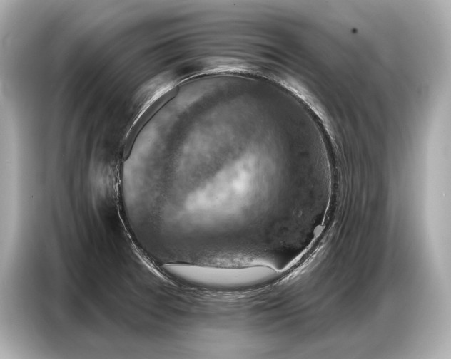 X0000086881377200704300928