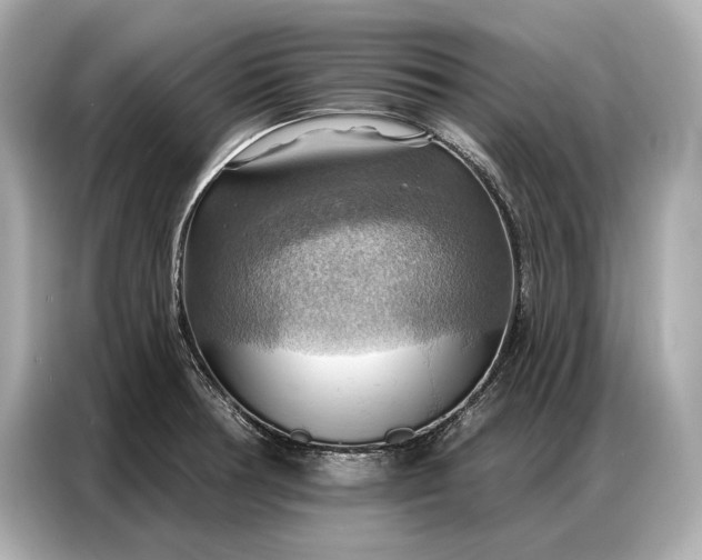 X0000086881378200704300928