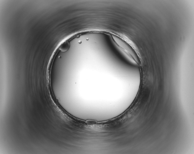 X0000086881380200704300928