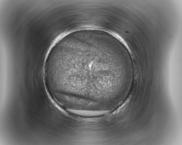 X0000086881381200704300928