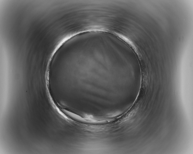 X0000086881383200704300928