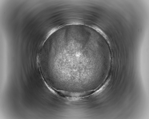 X0000086881385200704300928