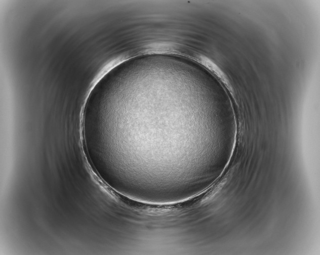 X0000086881386200704300928