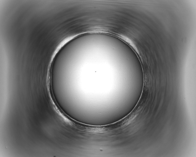 X0000086881387200704300928