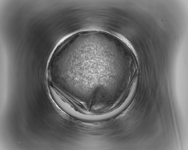 X0000086881388200704300928