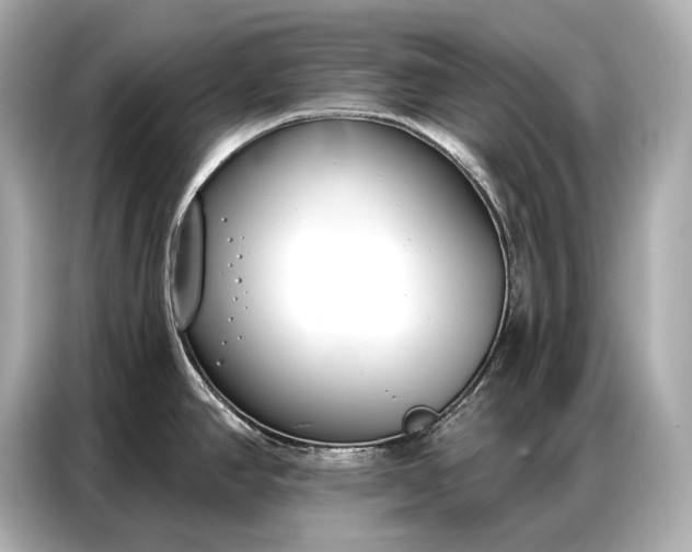 X0000086881390200704300928