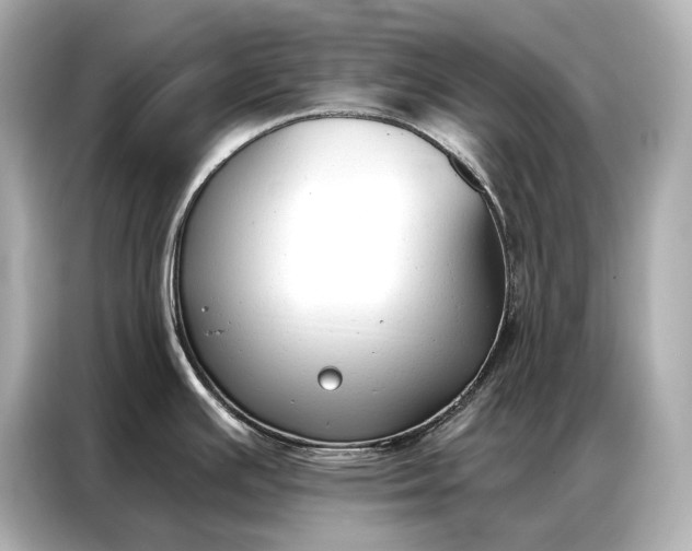 X0000086881391200704300928