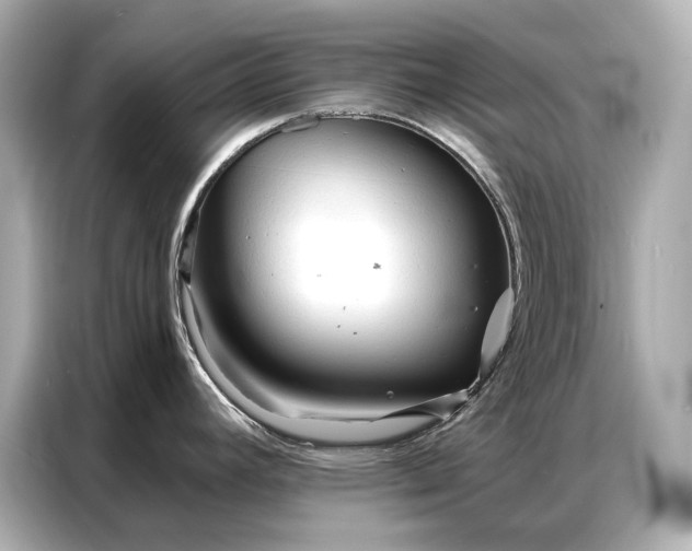 X0000086881392200704300928