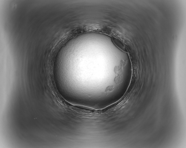 X0000086881393200704300927