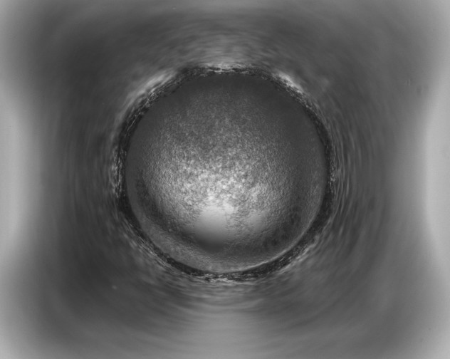 X0000086881398200704300927