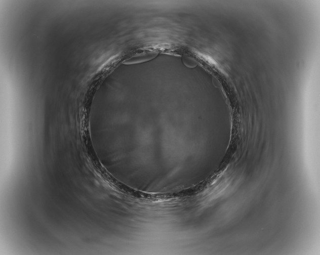 X0000086881399200704300927