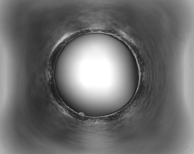 X0000086881400200704300927