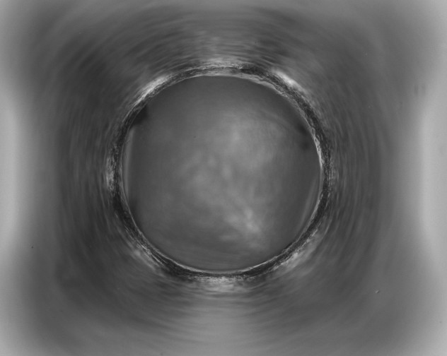 X0000086881401200704300927