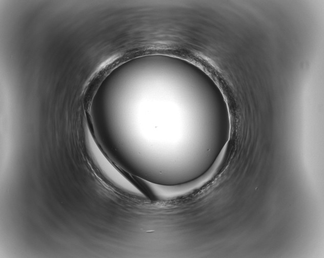 X0000086881402200704300927