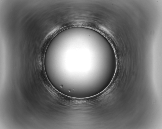 X0000086881403200704300927