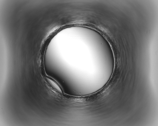 X0000086881406200704300928