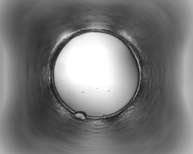 X0000086881408200704300928