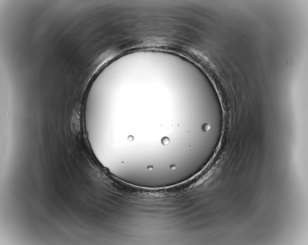 X0000086881409200704300928