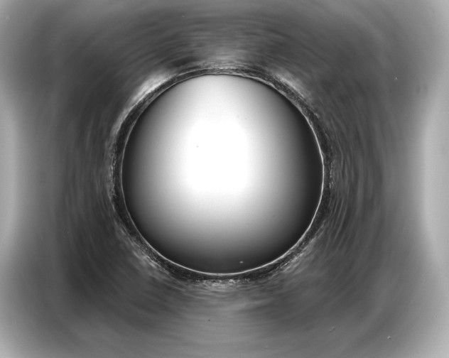 X0000086881410200704300928