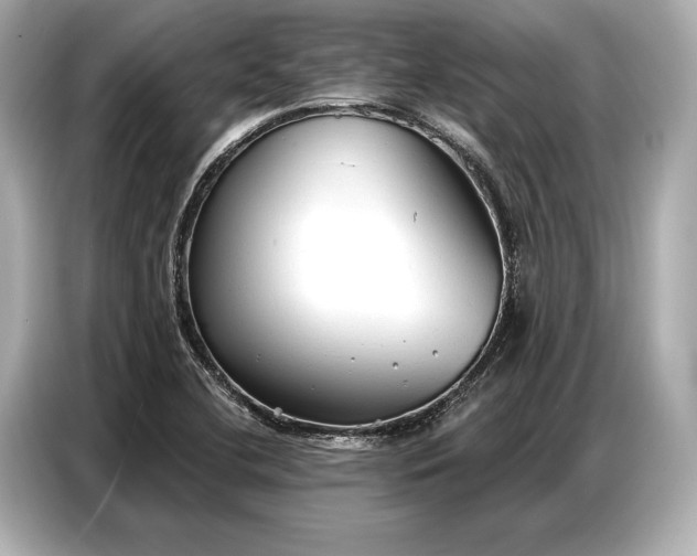 X0000086881412200704300928