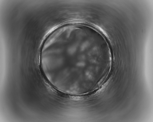 X0000086881413200704300928