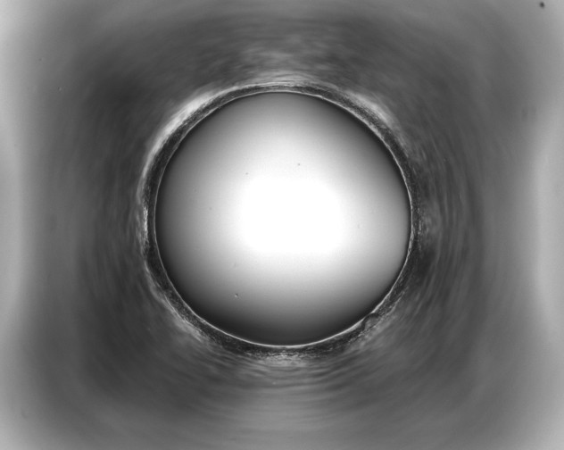 X0000086881414200704300928