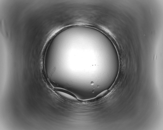 X0000086881415200704300928