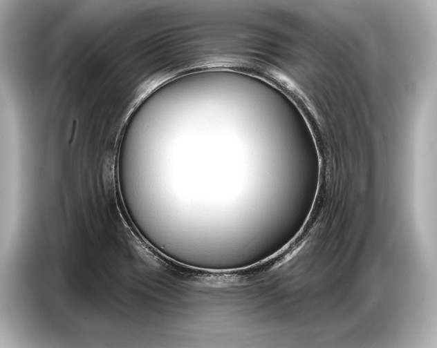 X0000086881417200704300928