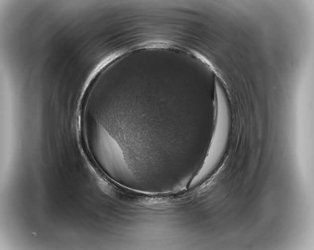 X0000086881418200704300928