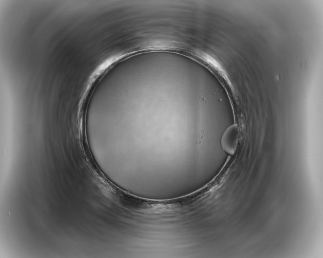 X0000086881419200704300928