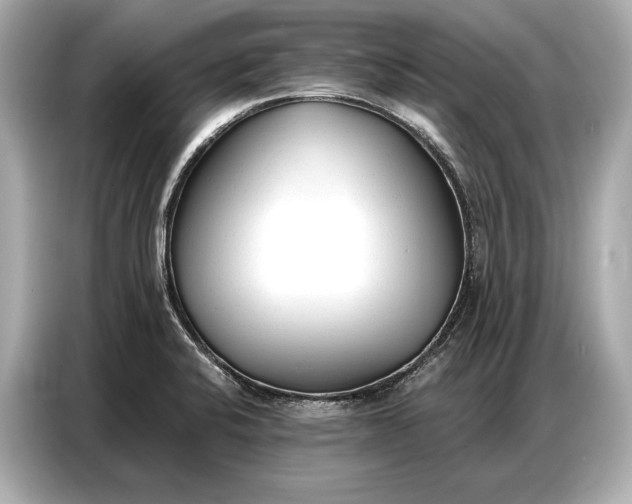 X0000086881424200704300928