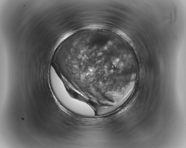 X0000086881425200704300928