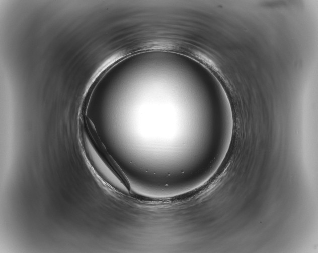 X0000086881426200704300928