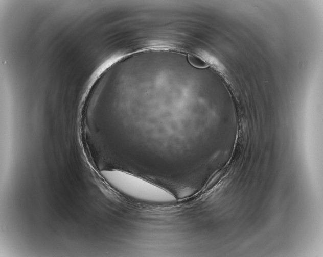 X0000086881427200704300928